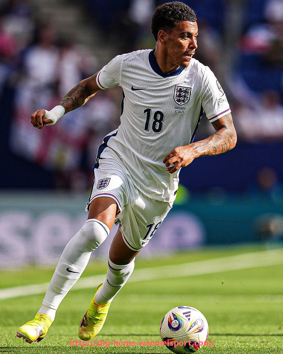 完美体育官方网站-2018火箭队“Lanwang事件”回顾与舆论分析